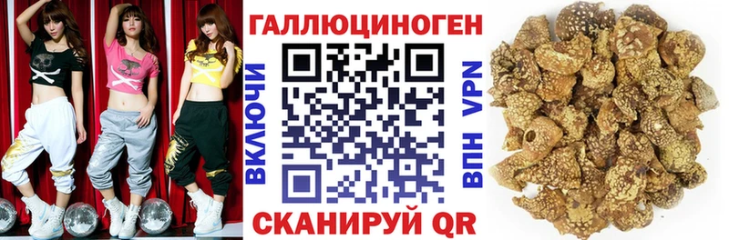 гидра рабочий сайт  Ноябрьск  Галлюциногенные грибы Magic Shrooms 